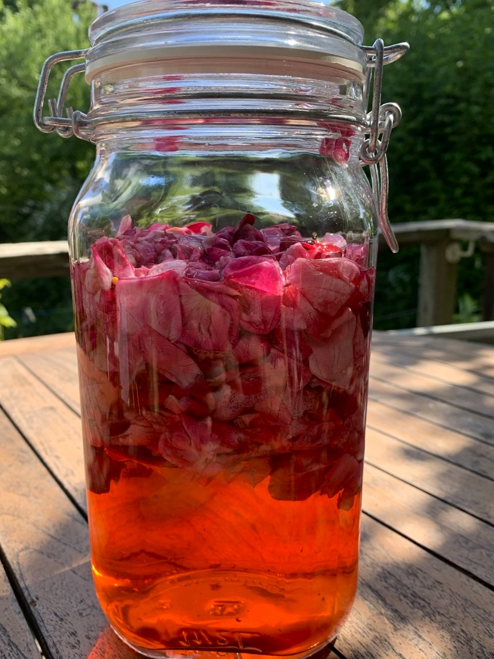Die Rosenzeit beginnt…