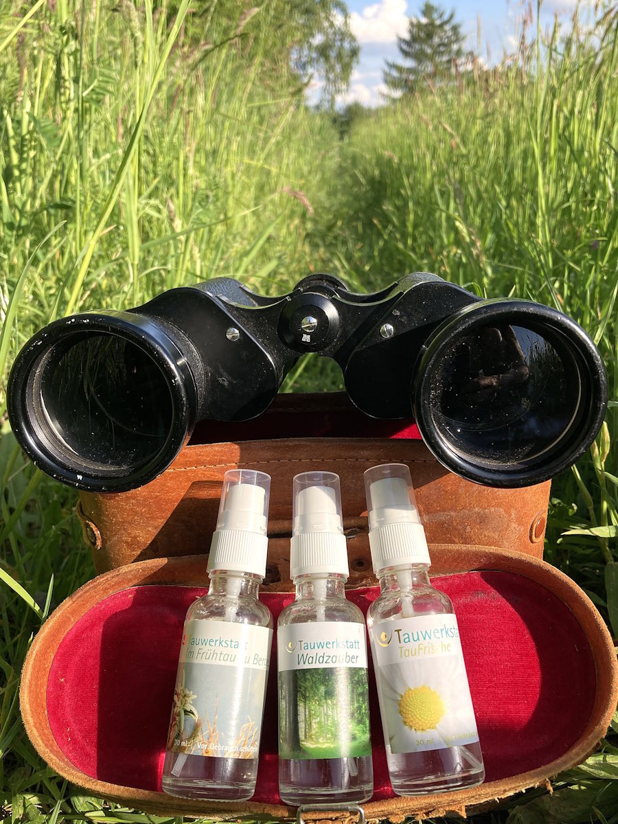 Wandertrio in Sicht!